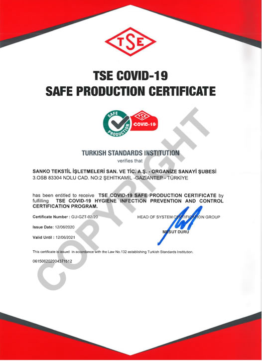 TSE COVID-19 SAFE PRODUCTION CERTIFICATE